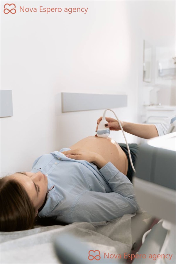 Prenatal ultrasound examination during a surrogacy program in Ukraine