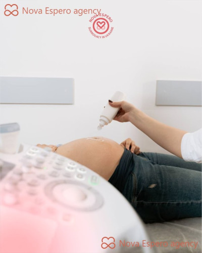 Surrogacy Cost in Ukraine 2026